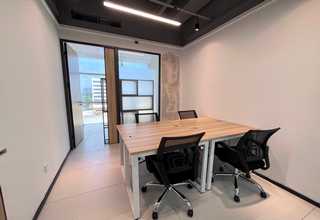 富源白魔芋种子在哪里买